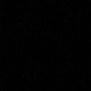 Meet your Posher, Darius